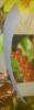 post-19828-1329059004_thumb.jpg