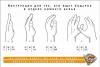 post-1761-1204645338_thumb.jpg