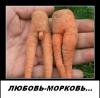 post-20249-1332489195_thumb.jpg
