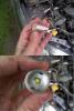 post-15660-1401537863_thumb.jpg