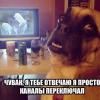 post-20091-1430682570_thumb.jpg
