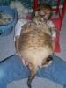 post-2154-1212524579_thumb.jpg