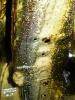 post-20091-1402689553_thumb.jpg