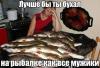 post-21895-1402745516_thumb.jpg