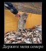 post-23210-1342163453_thumb.jpg