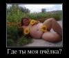 post-23210-1346126752_thumb.jpg