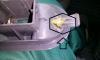 post-27430-1379951518_thumb.jpg
