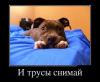 post-23210-1350467403_thumb.jpg