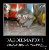 post-23858-1353671707_thumb.jpg