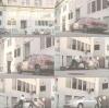 post-2508-1228726239_thumb.jpg