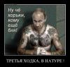 post-12629-1324643034_thumb.jpg