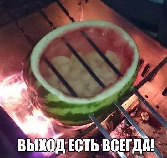 арб.jpg
