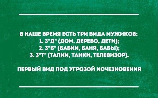 a6350dc9f132.jpg.88535935b415f8b292fb637