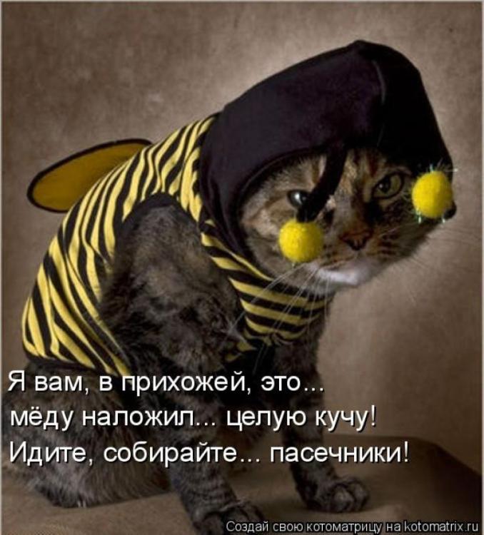 22260206.619711.thumb.jpeg.76ec79fa5fb26
