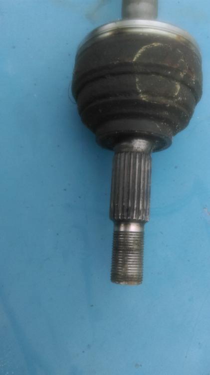 IMAG0572.jpg
