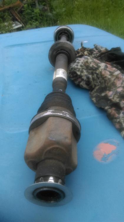 IMAG0577.jpg
