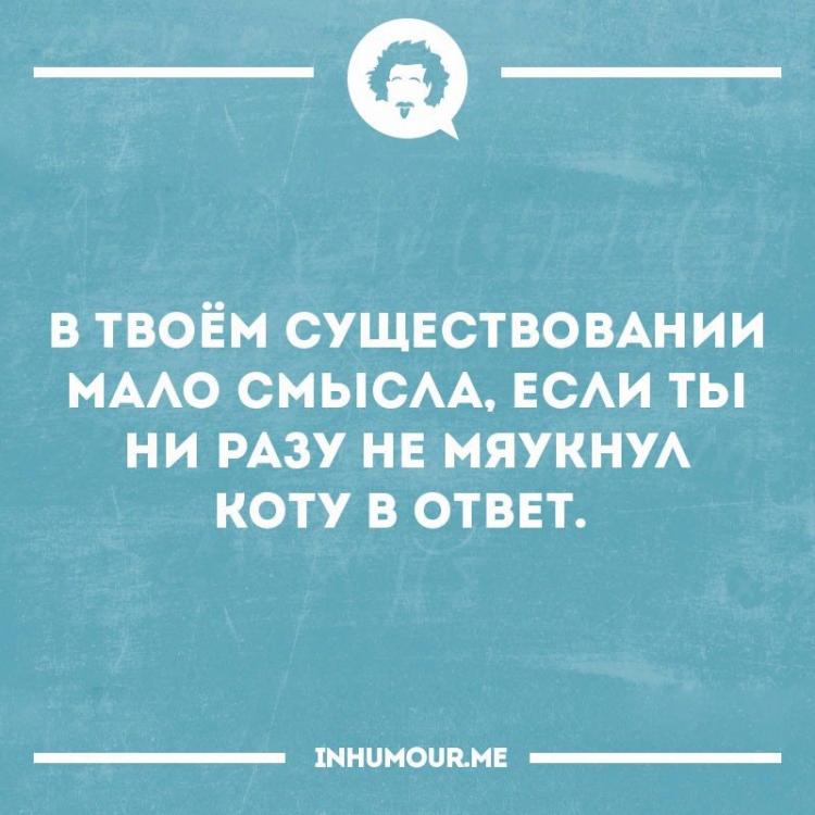 y_Ch2uOXMek.jpg