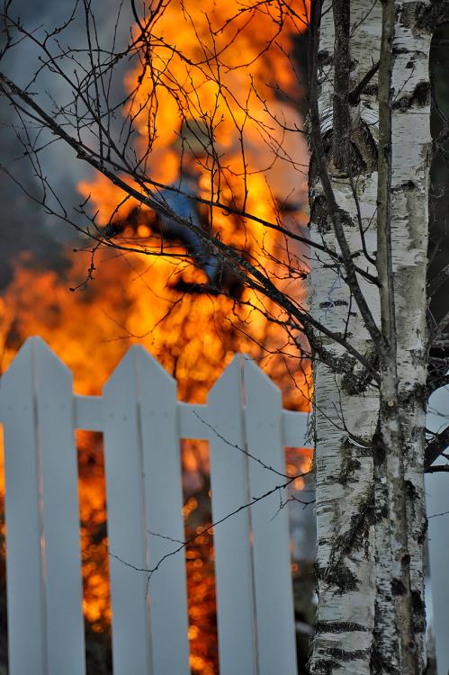 205.jpg