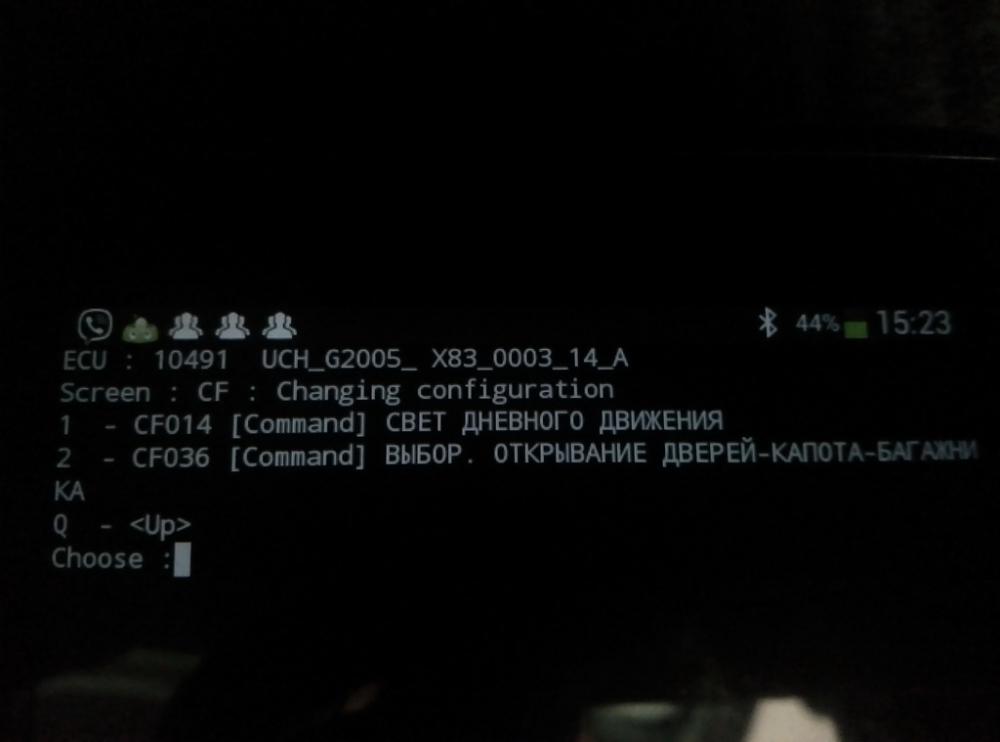 IMG_20170313_152209.jpg