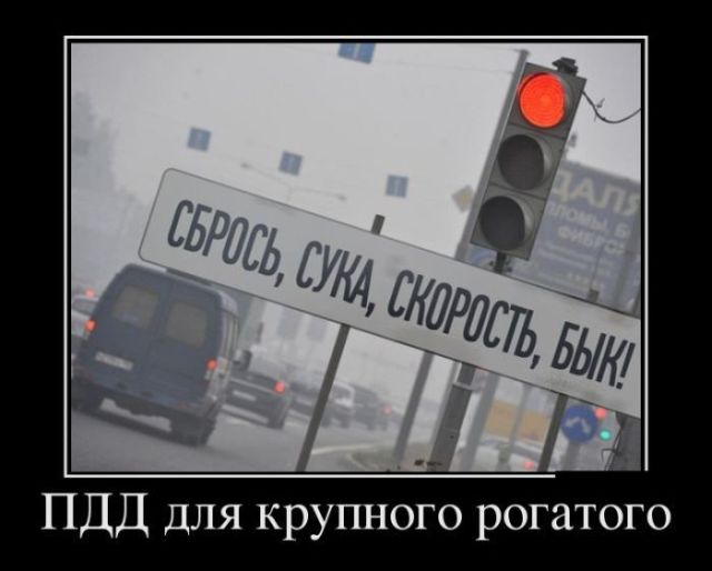 1506795793_006.jpg.3c1f67419f891c123e6e61ced9cf9888.jpg