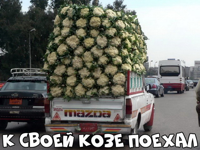 3ec0d6c2bd8bfb3f2a86d0853bc.jpg.49a3516859970330111778377a7b71dc.jpg
