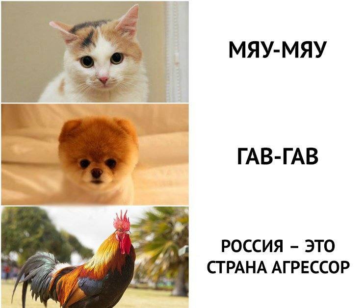 DNArtGnWAAE9HOm.jpg.4d7dd61ad7542a79506e5201c5c38a6c.jpg