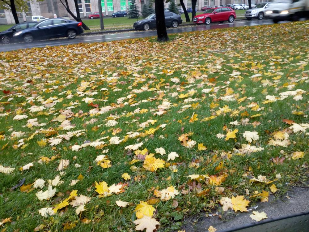 IMG_20171009_155822.jpg