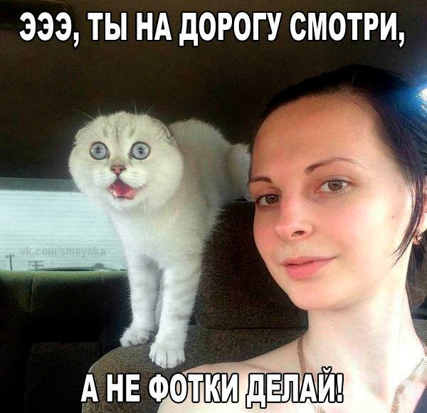 original.jpg.10bd985ef5dd347e5e01b5e19c8f6b29.jpg