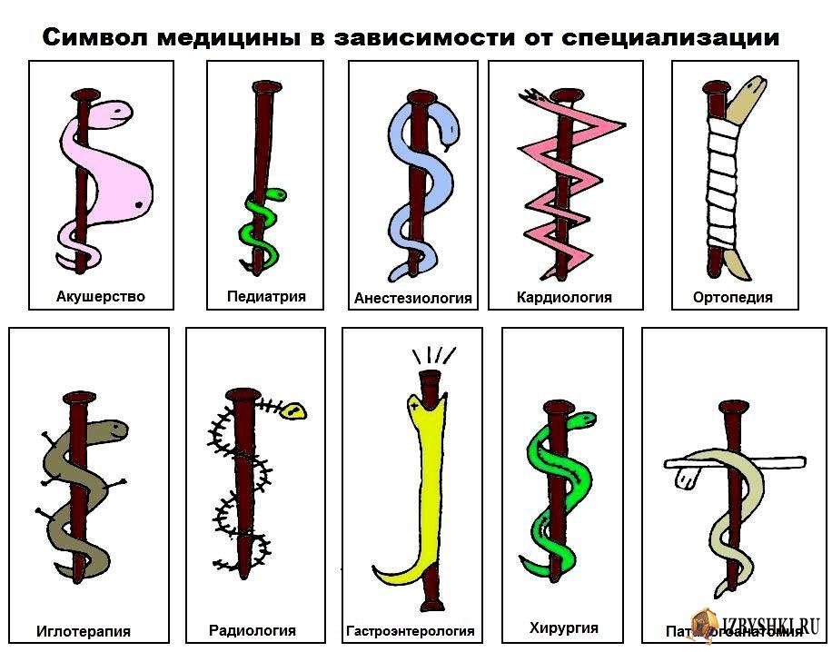 1495269079_izbyshki.ru_anon-3852484.jpeg.f376b93e5806e2320a1fbb6ed44c9568.jpeg
