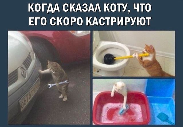 1510252501_foto-prikoly-30.jpg.042742c93dd26f2fcdff3274bbcca264.jpg