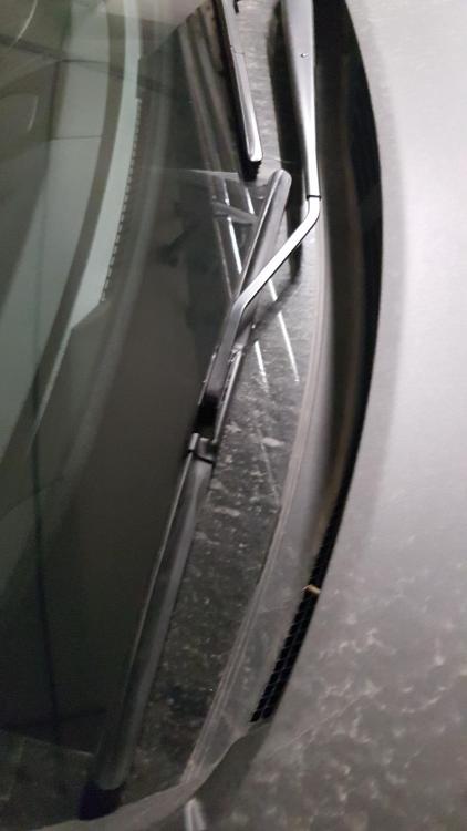 20171111_215346.jpg