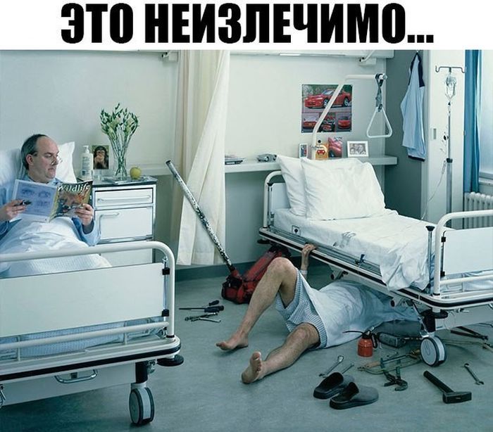 5a12f1884d25a_original(1).jpg.1ba5193dcd1a7a2ec6c3b4fe0367c19e.jpg
