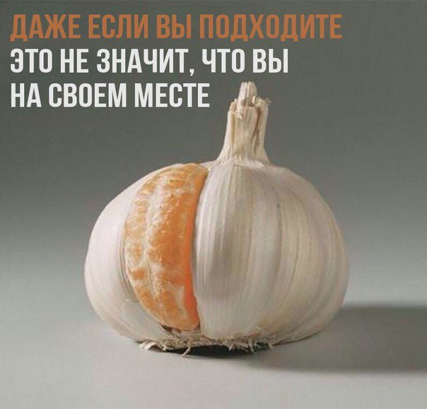 DOasRqfWsAIZn_d.jpg.09615996e13c3f5442abbfc0fcc8af5d.jpg