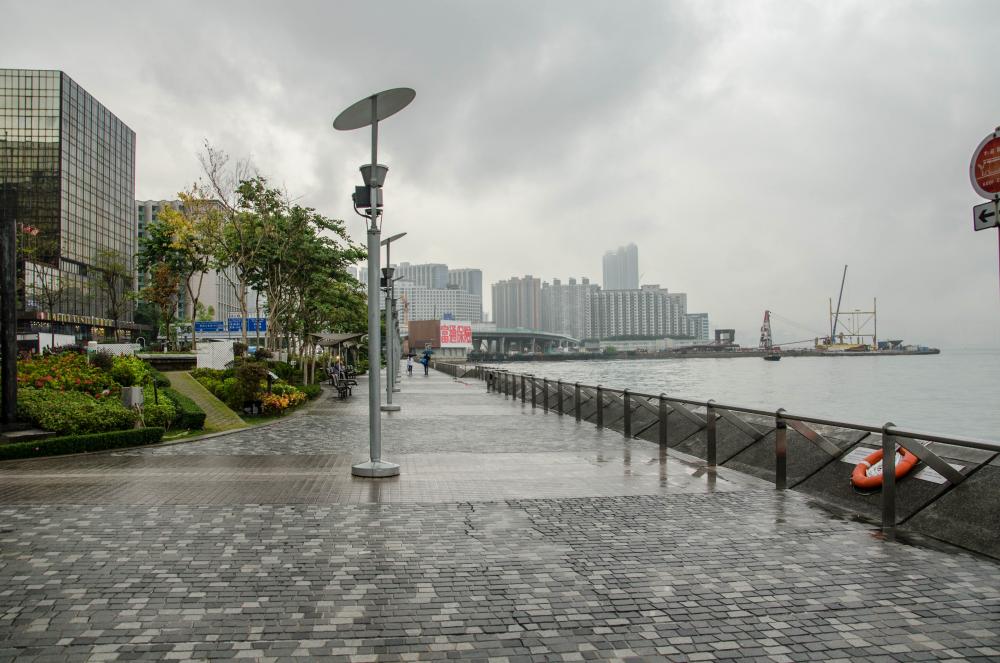 DSC_5256.jpg