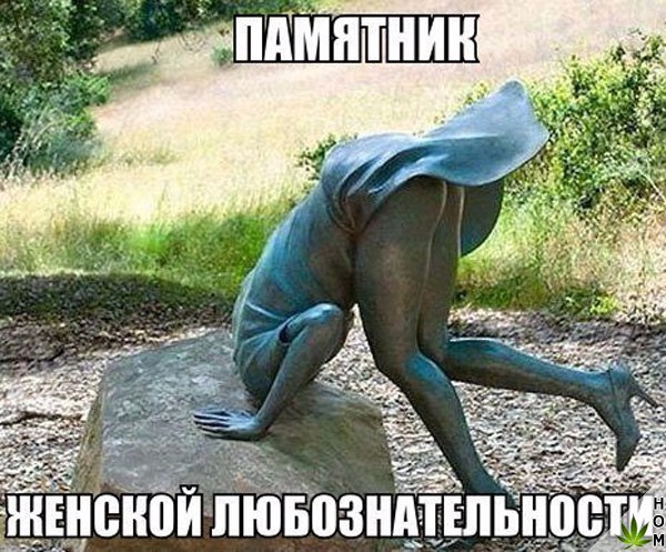 original.jpg.66876ab551efb0eca254f205b7a89b61.jpg