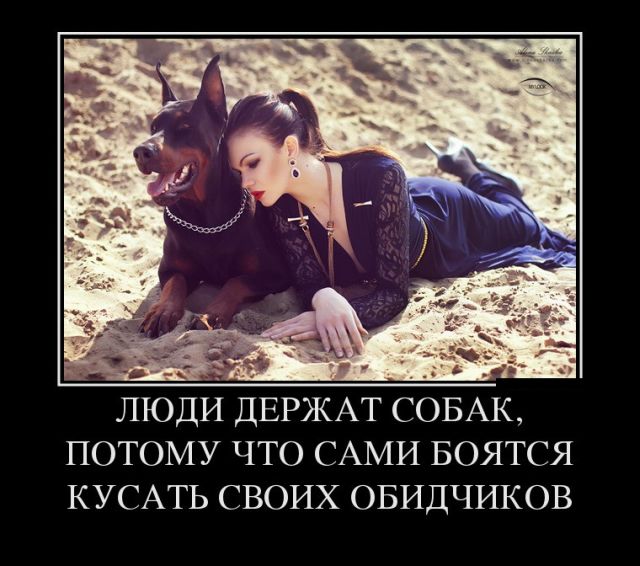 original.jpg.926b8f4025cd4c835c1e8ab2c65d8392.jpg