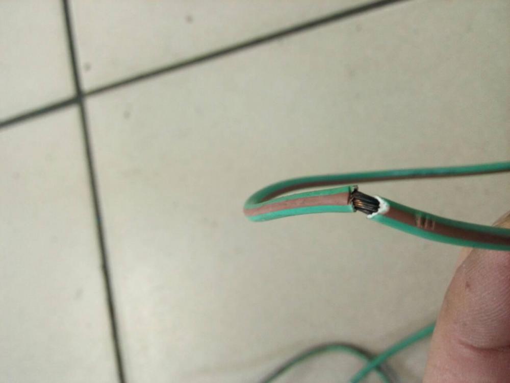 IMG-d4ff279bd2bf43d0bc0c0293e6b9c770-V.jpg