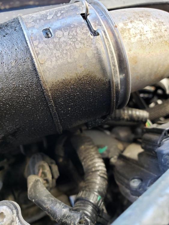 20190403_112217-1.jpg