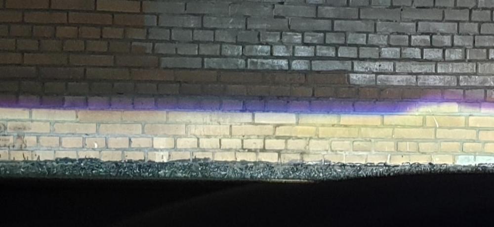 20190531_071429.jpg