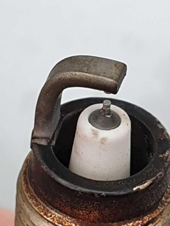 20191002_105148.jpg