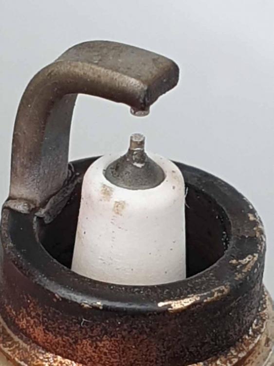 20191002_105203.jpg