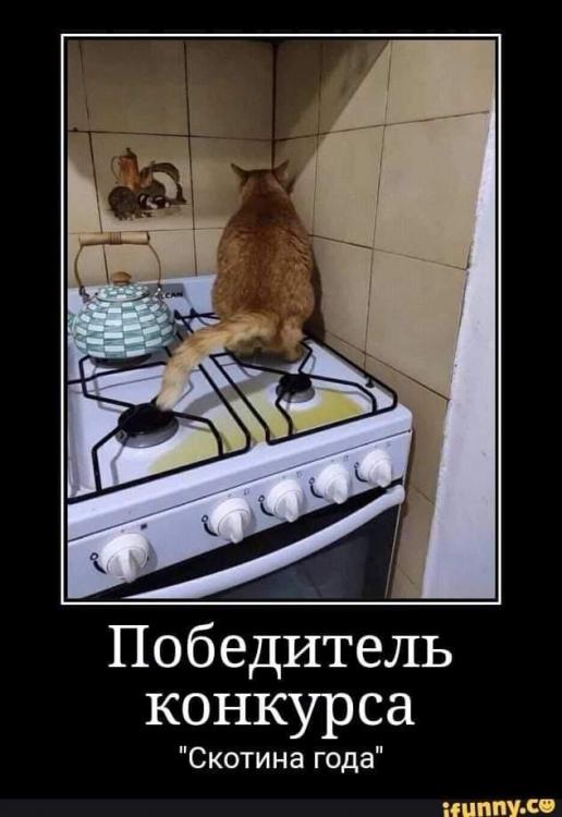 IMG-20191106-WA0005.jpg