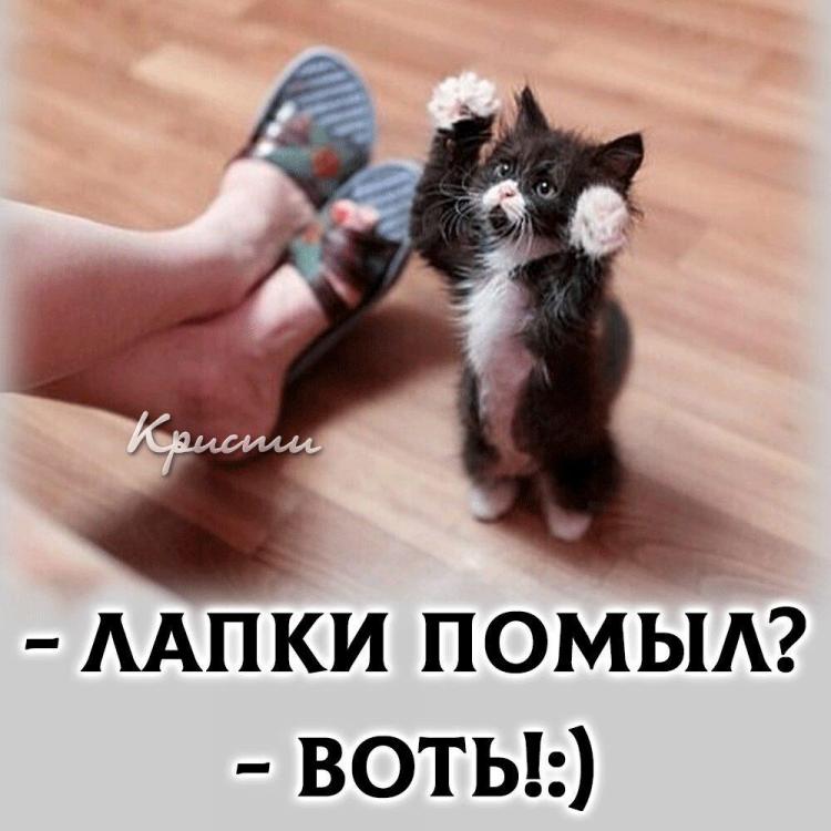IMG-0e71ab8d5b0a8c5248c39686e73b8b2e-V.jpg