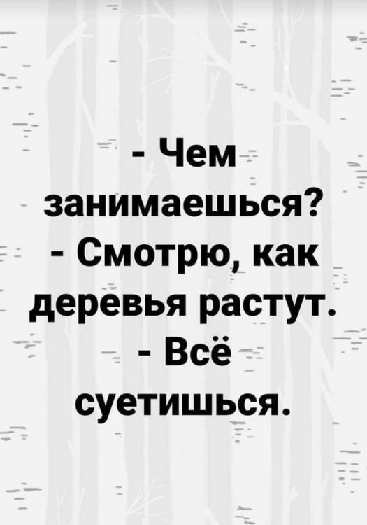 IMG-8ee7e952f47b8973b5dea8bf7064b126-V.jpg