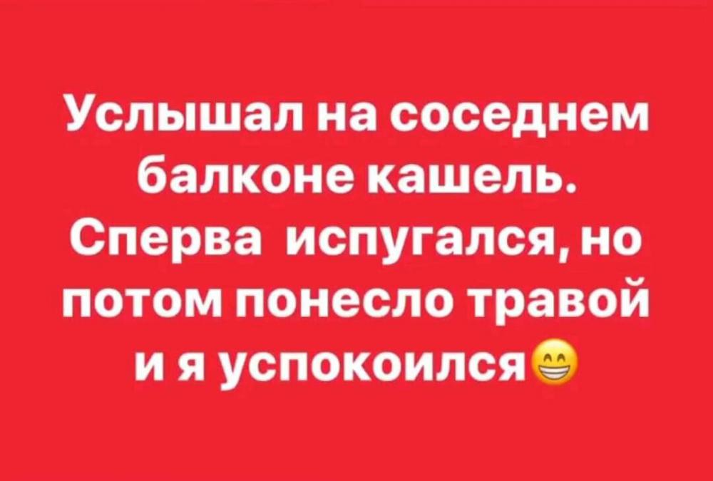 IMG-bb1b9282802acfe4b98bc5929e6ffb57-V.jpg