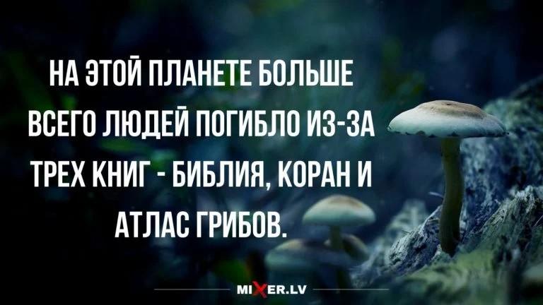 1413541900__viber_2020-11-17_22-21-15.jpg.0f65cf4d0c0f38550de286d970058710.jpg