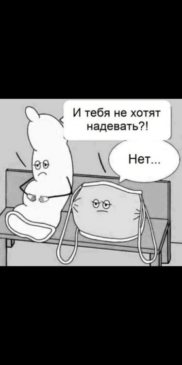 IMG-c7beaec855a53af02c51fd86360cfaa2-V.jpg