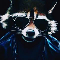jamkowyj