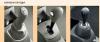 post-33-1197364327_thumb.jpg