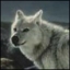 NORD1